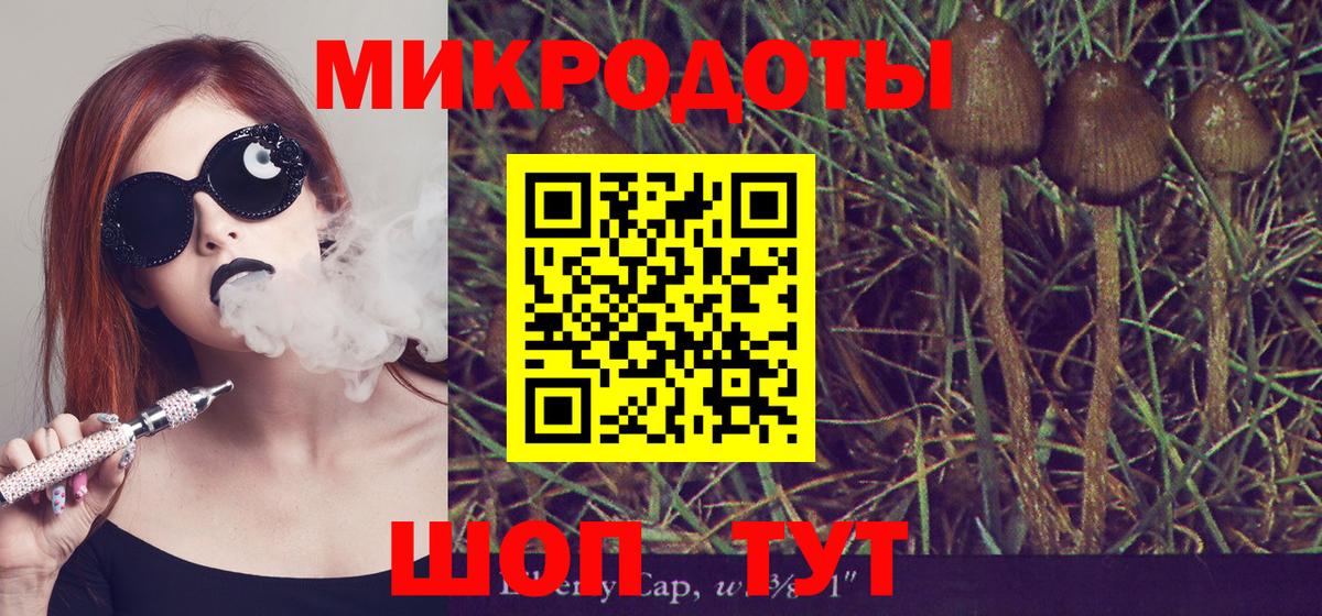 Псилоцибиновые грибы Psilocybe  закладки  Вход с VPN  Кимовск  Псилоцибиновые грибы ЛСД 