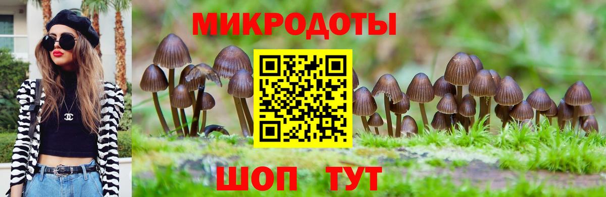 Псилоцибиновые грибы мухоморы Кимовск